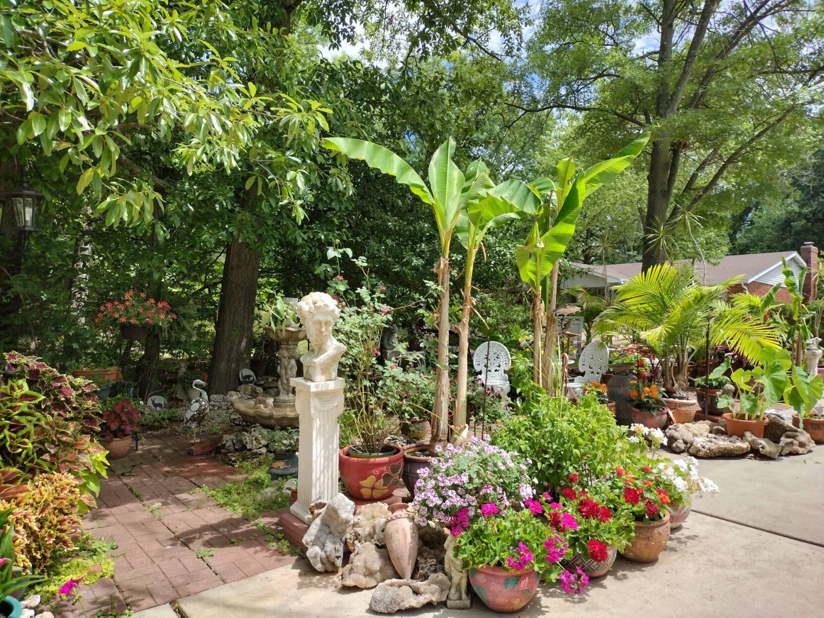 80-year-old couple's love garden
